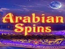 Winny Casino screenshot